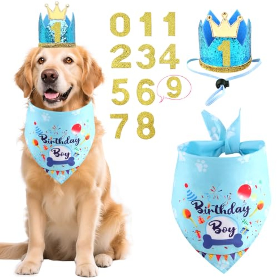 Pet X Supplies & Tack Howell Mi - Dog Birthday Party Supplies, Dog Birthday