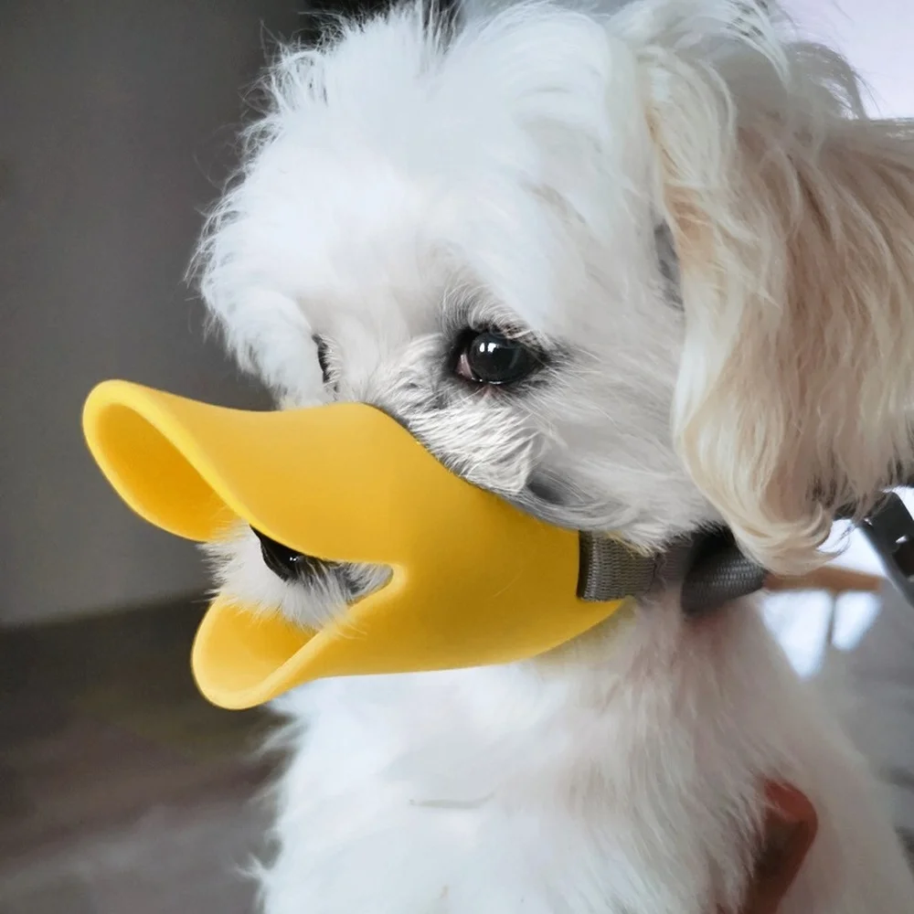 1pcs Small Pet Dog Muzzle Sili - đánh giá và giá Dog Muzzle Silicone