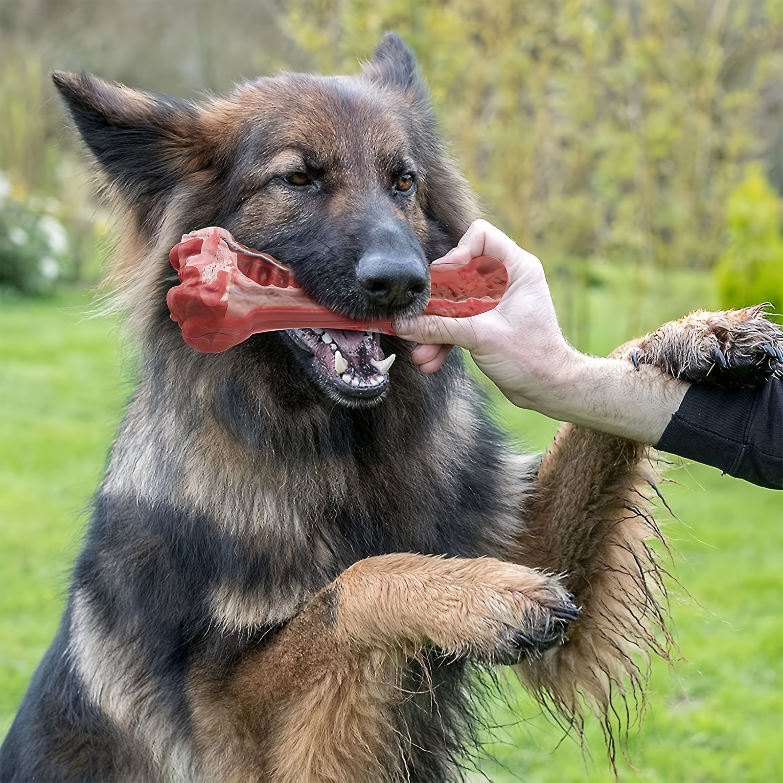 Silicone dog bite toy, natural - đánh giá và giá Dog Muzzle Silicone