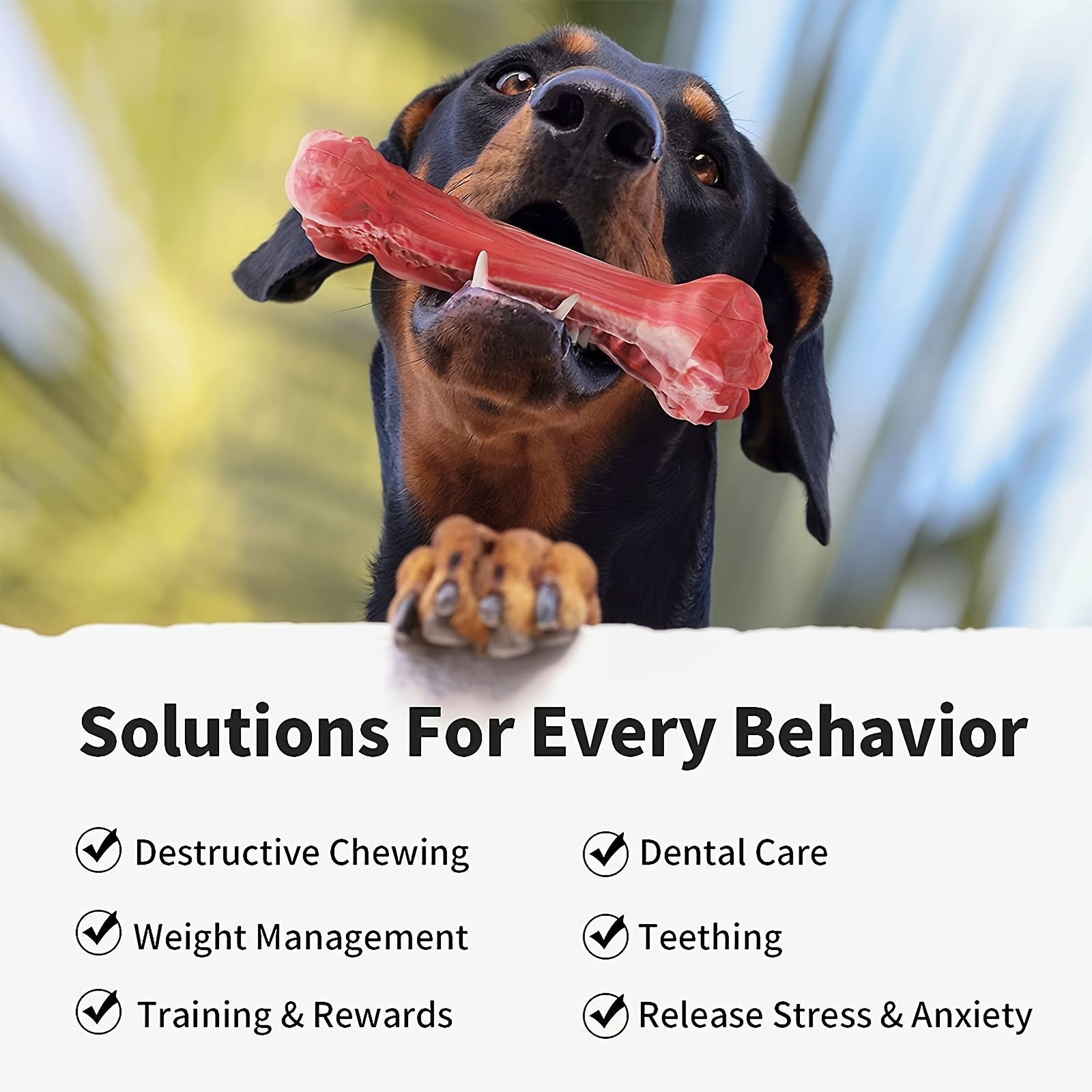 Silicone dog bite toy, natural - đánh giá và giá Dog Muzzle Silicone