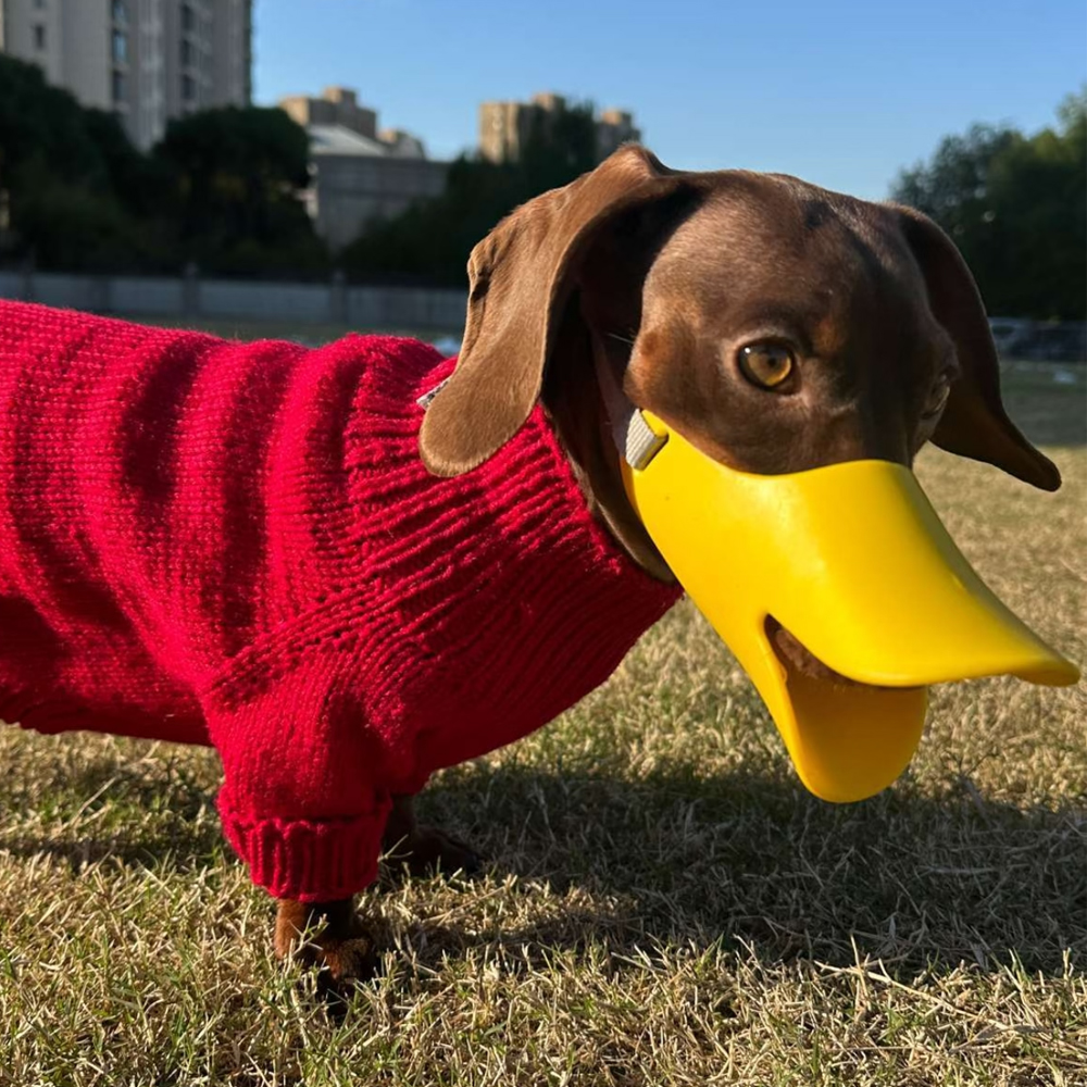 Dog Silicone Duck Muzzle For W - đánh giá và giá Dog Muzzle Silicone