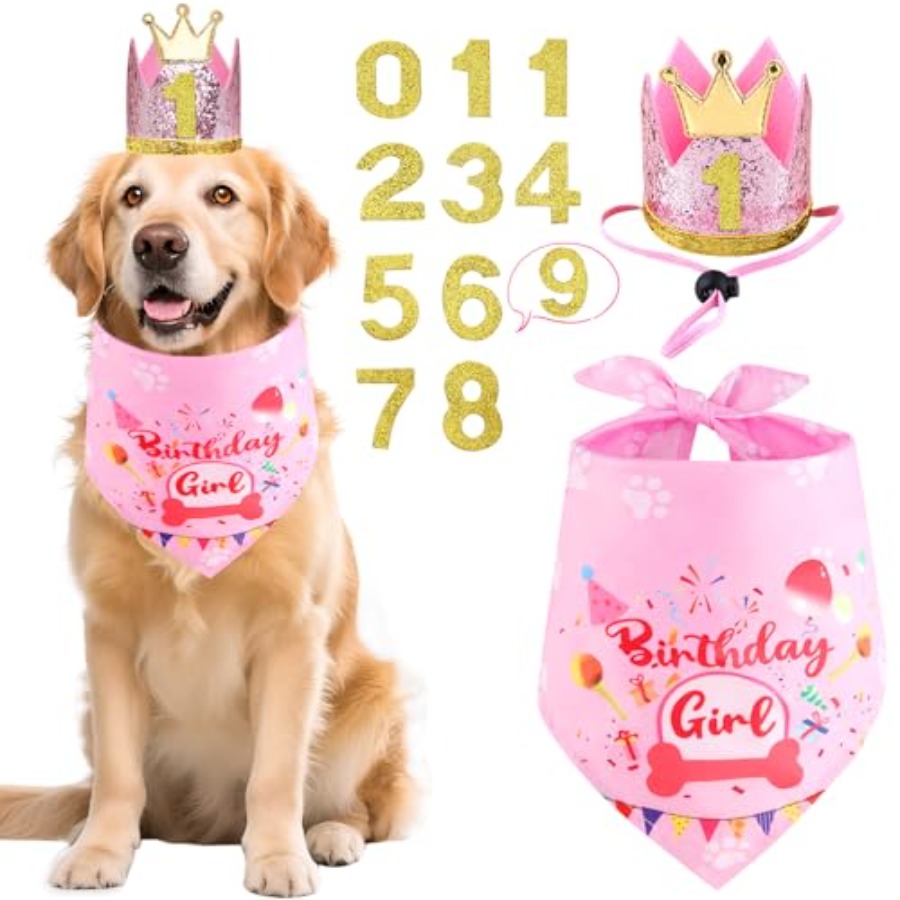Dog Birthday Party Supplies, D - đánh giá và giá Pet X Supplies & Tack Howell Mi