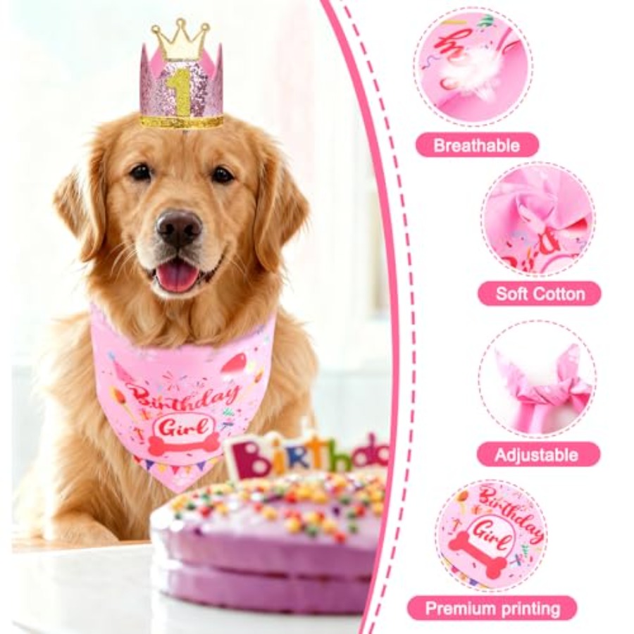 Dog Birthday Party Supplies, D - đánh giá và giá Pet X Supplies & Tack Howell Mi
