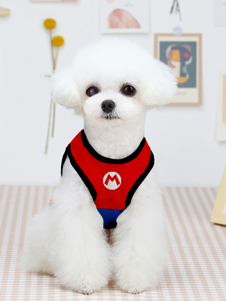 Super Mario peripheral pet sup - đánh giá và giá Pet Supplies For Dogs