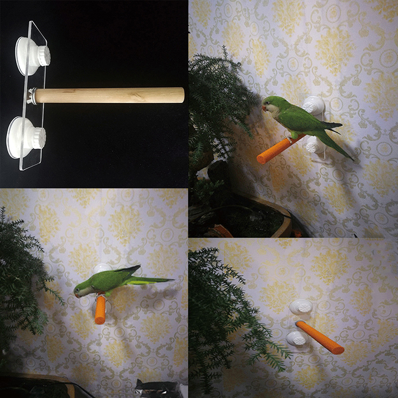 Parrot Pet Raw Standing Stick  - đánh giá và giá Pet X Supplies & Tack Howell Mi
