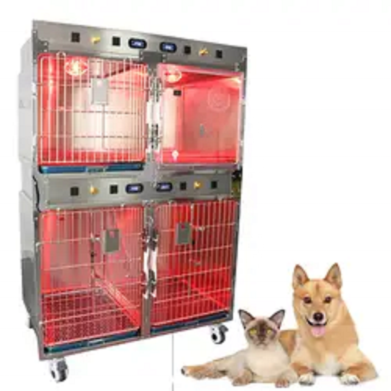 Pet Care Best Selling Cage Cat - đánh giá và giá Pet Supplies Vet
