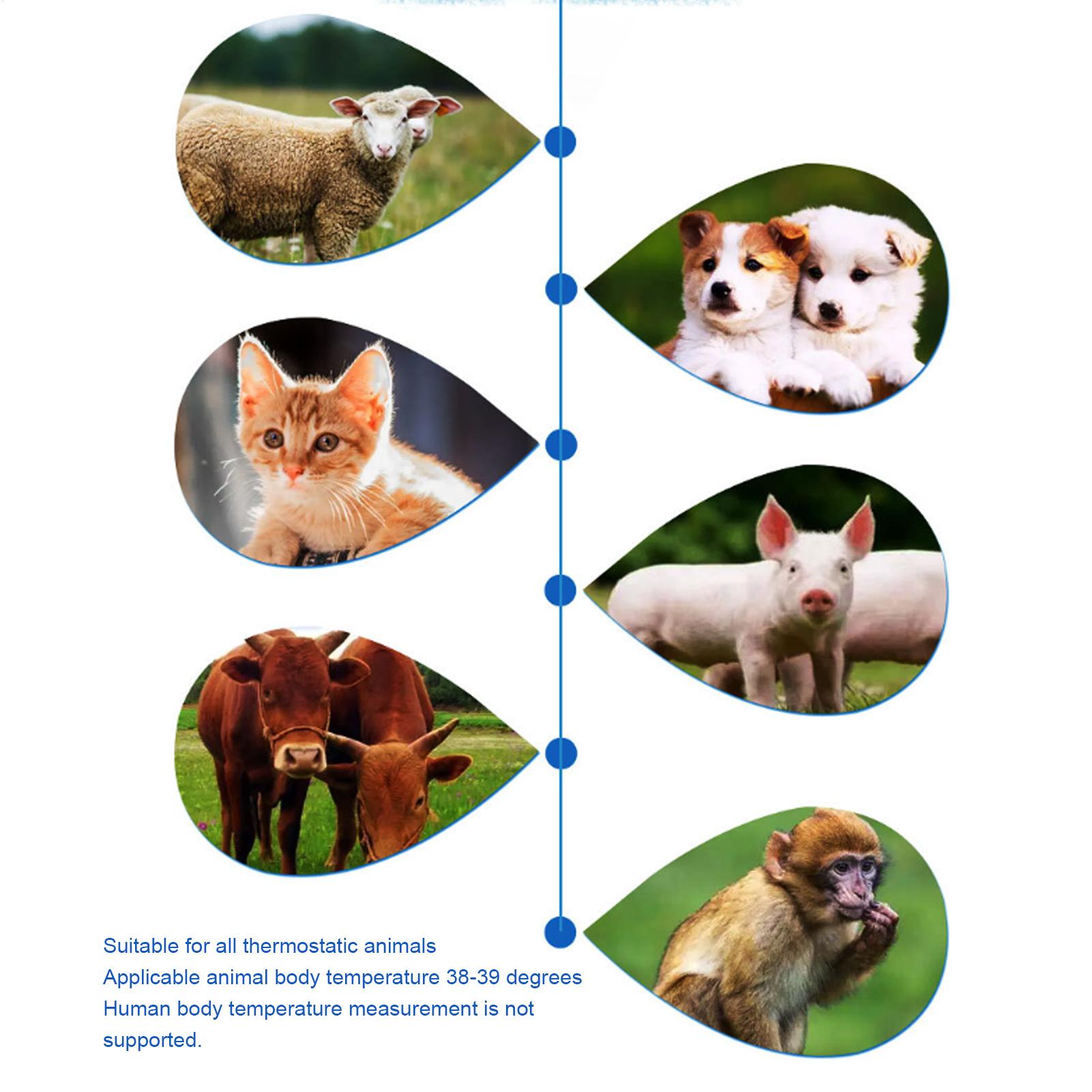 Animal Temperature Detector Du - đánh giá và giá Pet Supplies Vet