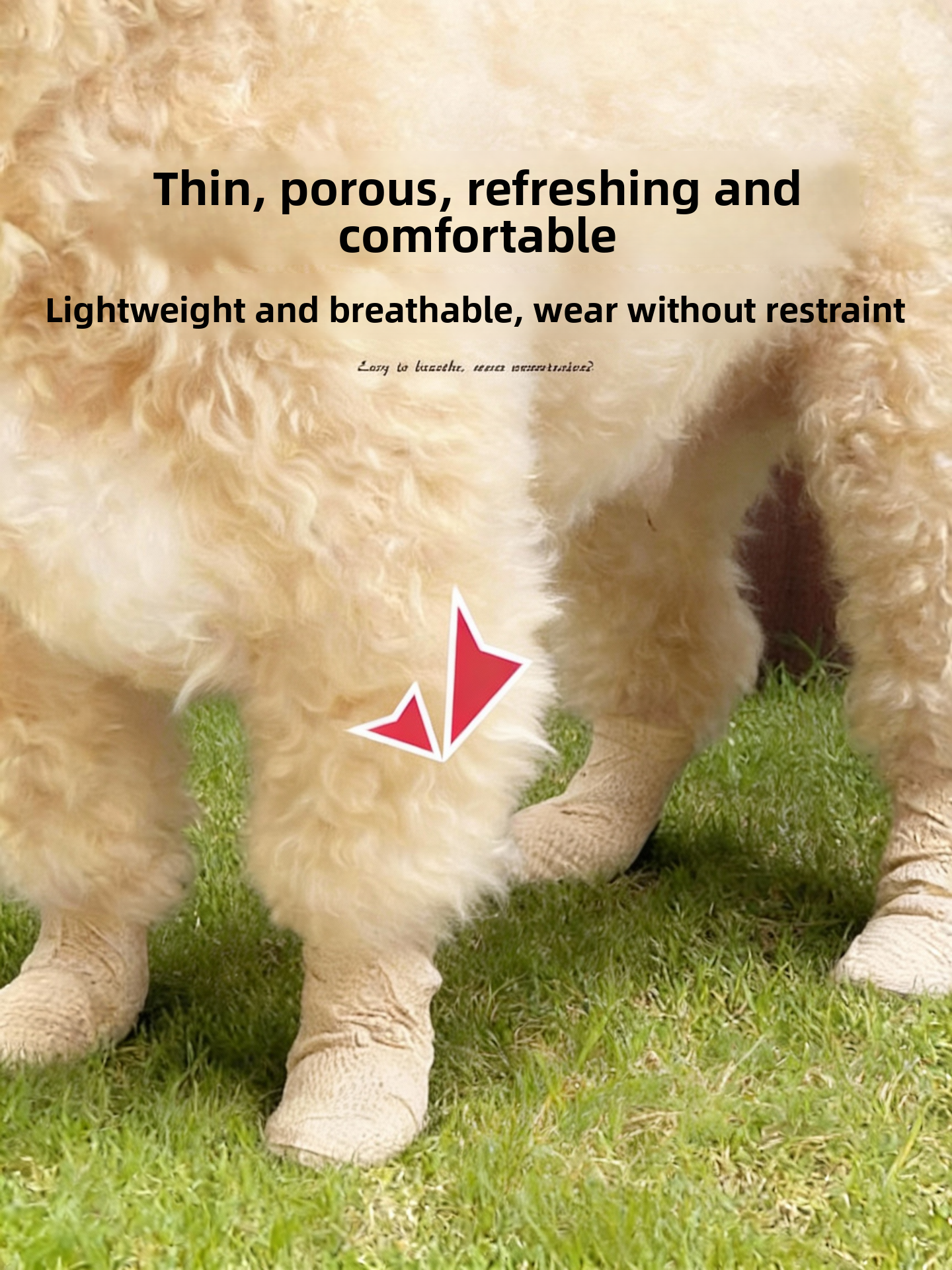 Anti-Slip Dog Foot Covers Disp - đánh giá và giá Pet Supplies For Dogs