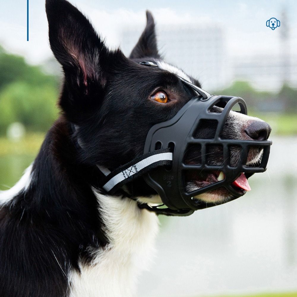 Adjustable Dog Muzzle Anti-Bit - đánh giá và giá Dog Muzzle Silicone