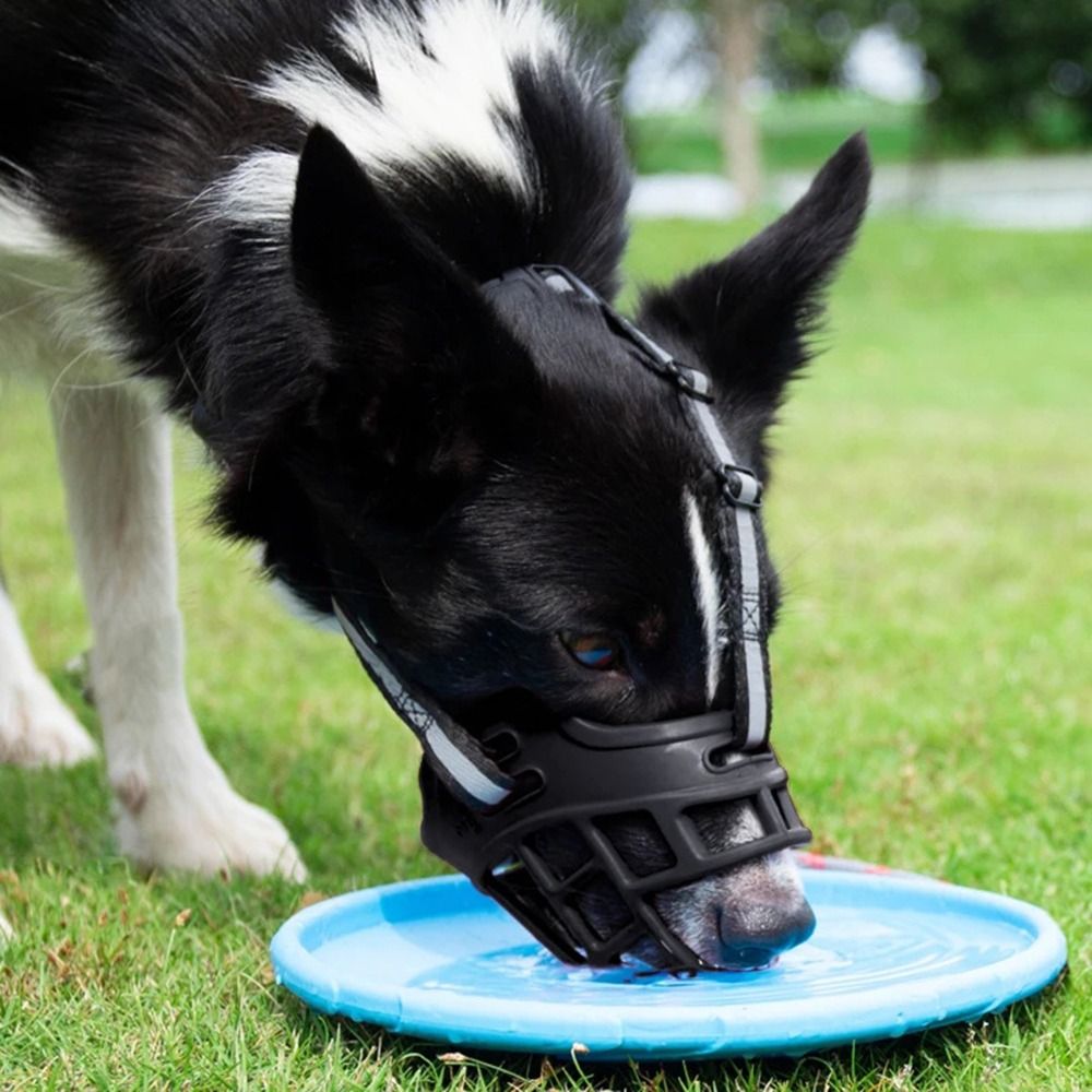 Adjustable Dog Muzzle Anti-Bit - đánh giá và giá Dog Muzzle Silicone