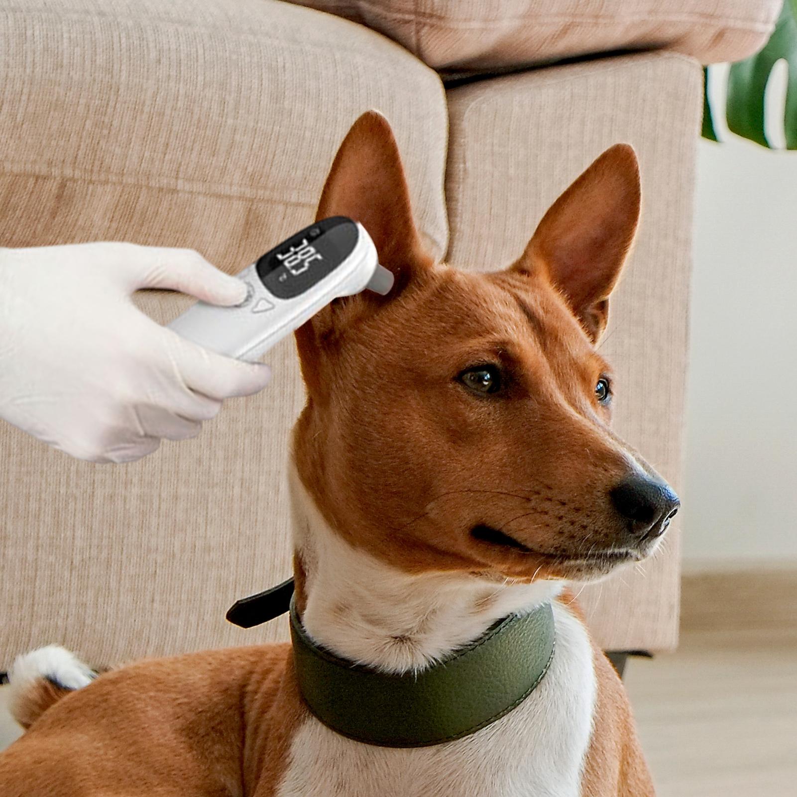 Dog Cat Ear Thermometer Medica - đánh giá và giá Pet Supplies Vet