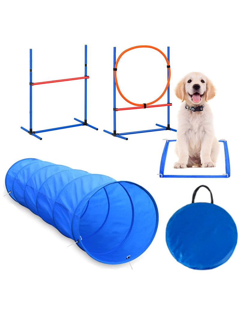 Dog Obstacle Training Competit - đánh giá và giá Pet Supplies For Dogs