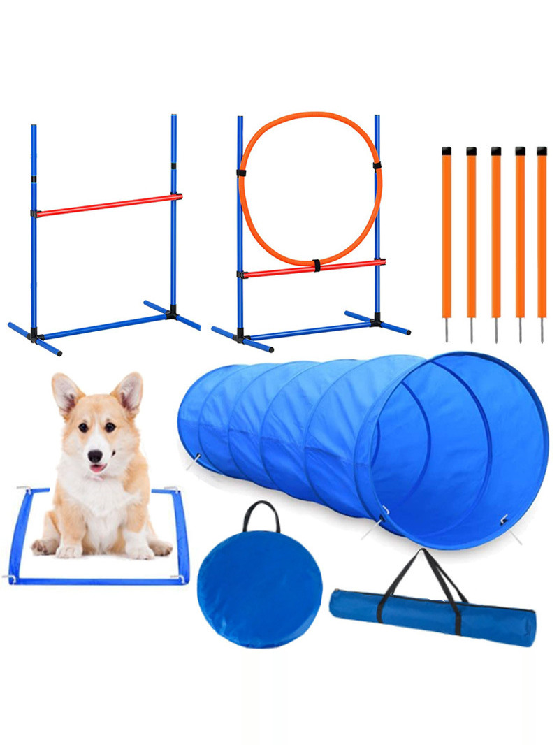 Dog Obstacle Training Competit - đánh giá và giá Pet Supplies For Dogs