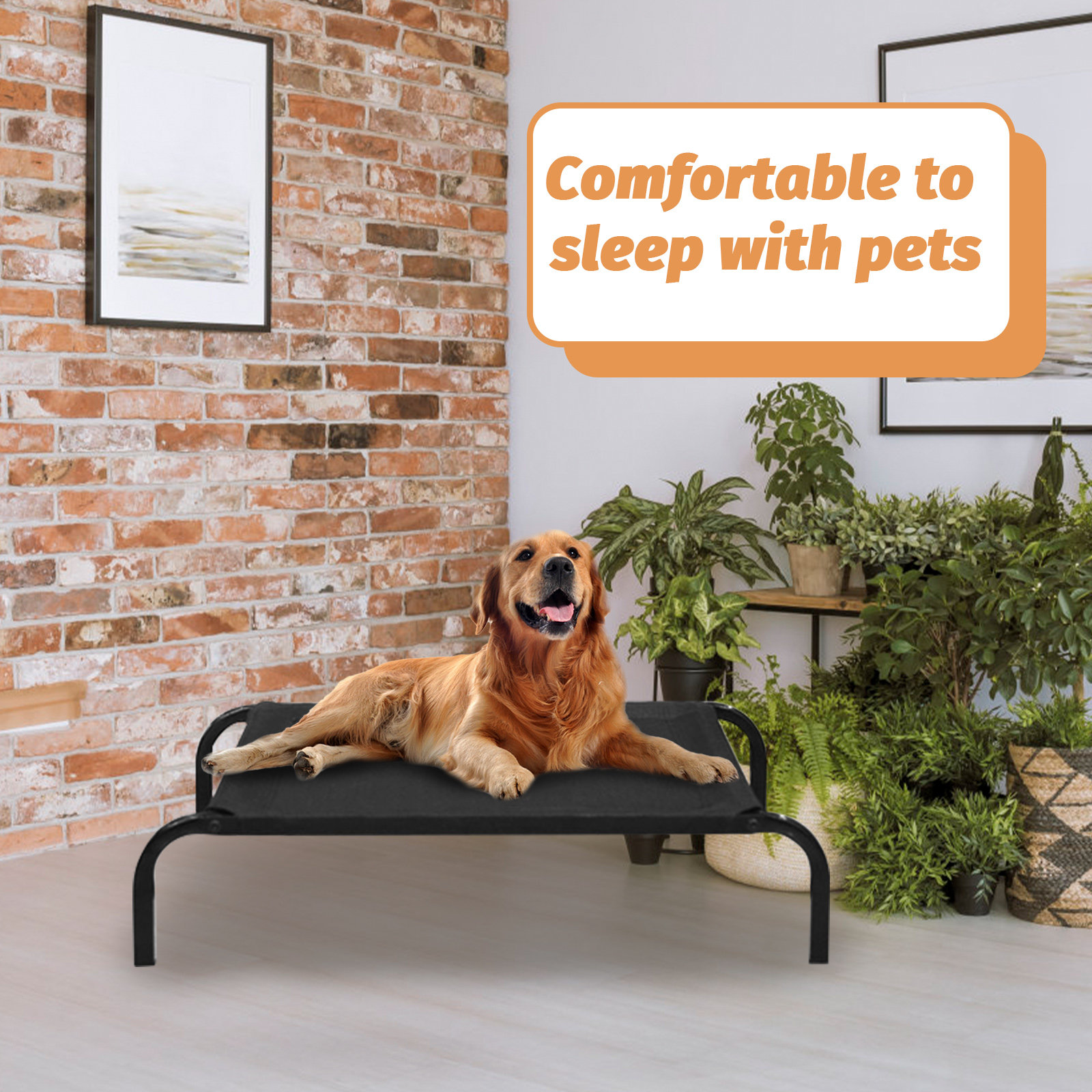 Pet Cot Dog Bed Mesh Breathabl - đánh giá và giá Pet Supplies For Dogs