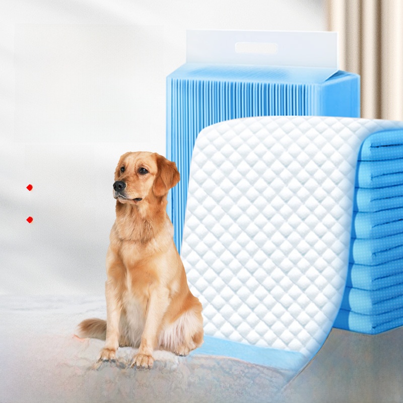 Thiened Pet Urinal Mat Dog Tra - đánh giá và giá Pet Supplies For Dogs