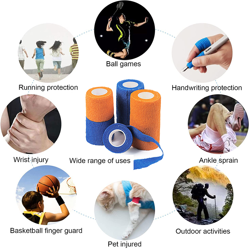 Pexmen 6Colors Self Adhesive B - đánh giá và giá Pet Supplies Vet