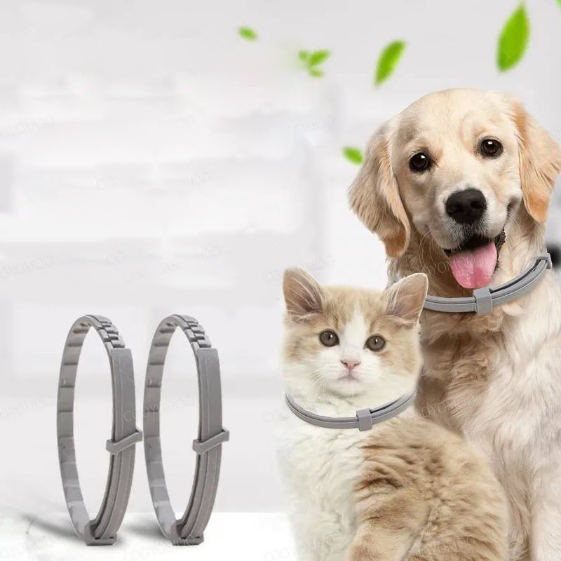 Dog Collars Puppy Dog Cats 72c - đánh giá và giá Dog Muzzle Silicone