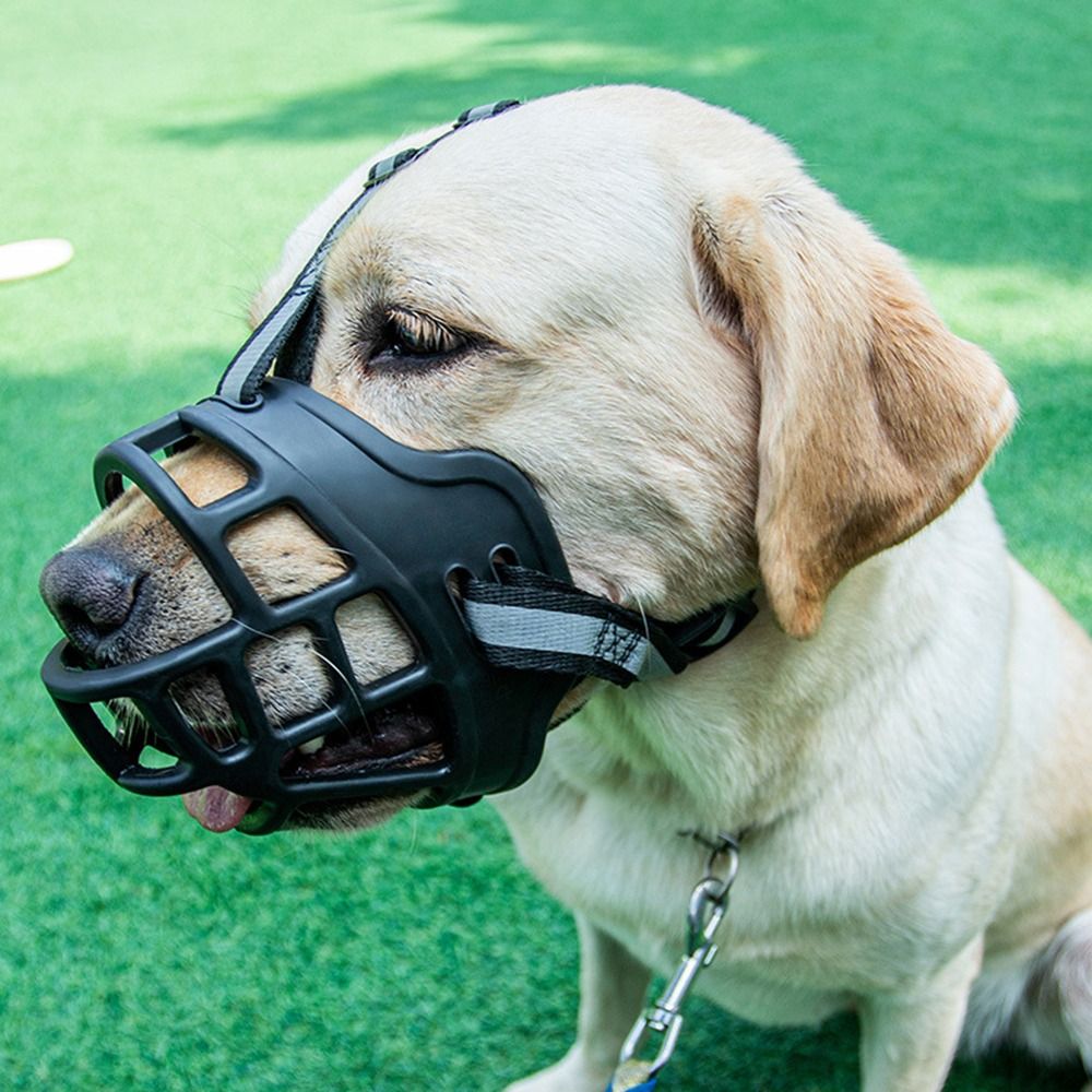 Durable Anti-Biting Adjustable - đánh giá và giá Dog Muzzle Silicone
